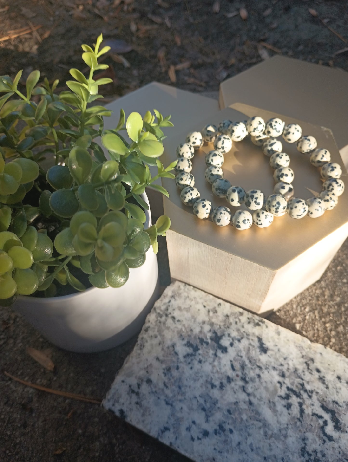 Dalmatian Jasper gemstone bracelet