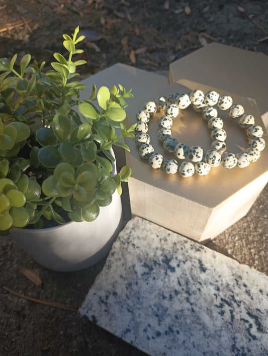 Dalmatian Jasper gemstone bracelet